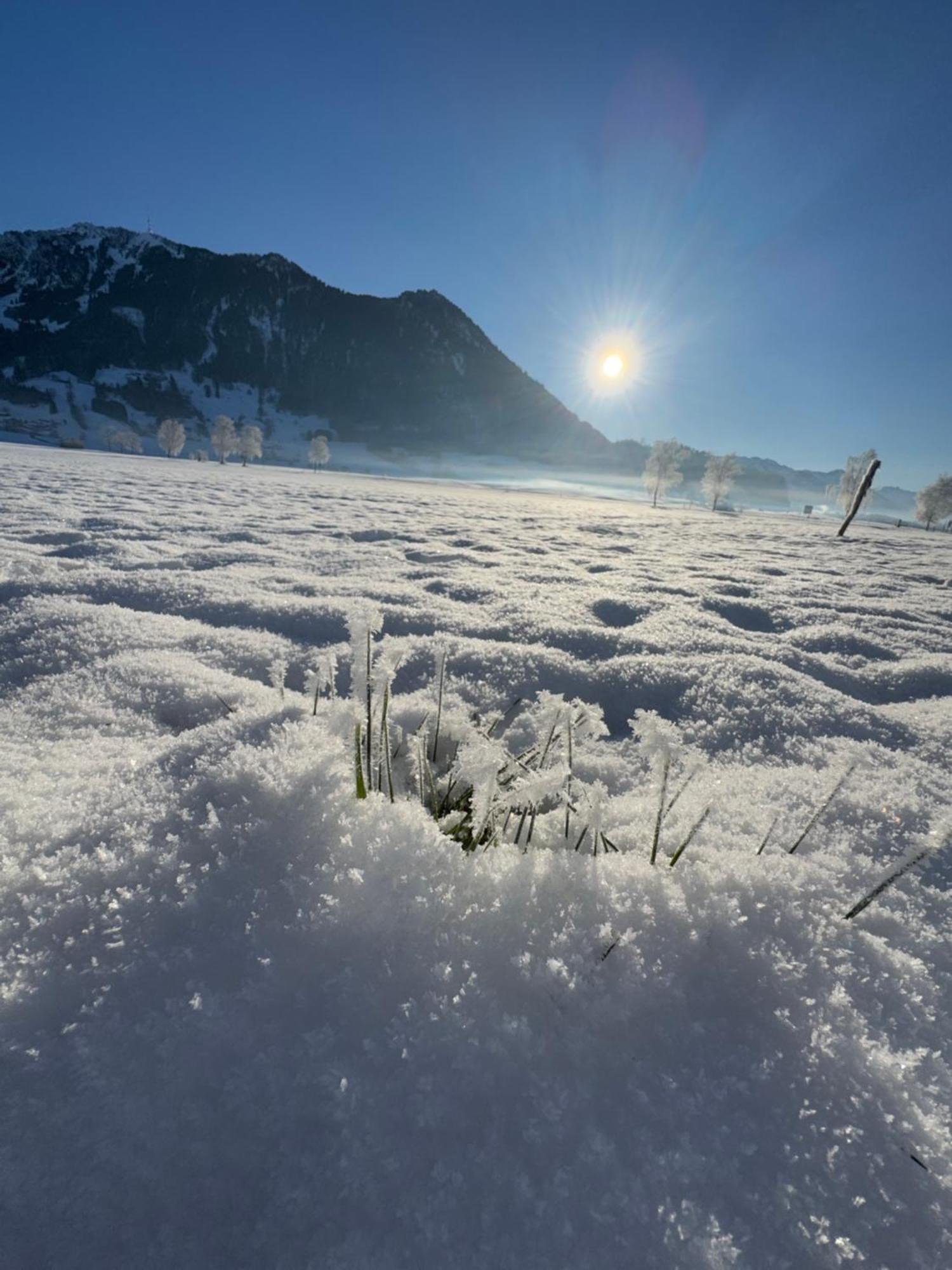 Allgaeu Bergluft Weitnau Экстерьер фото
