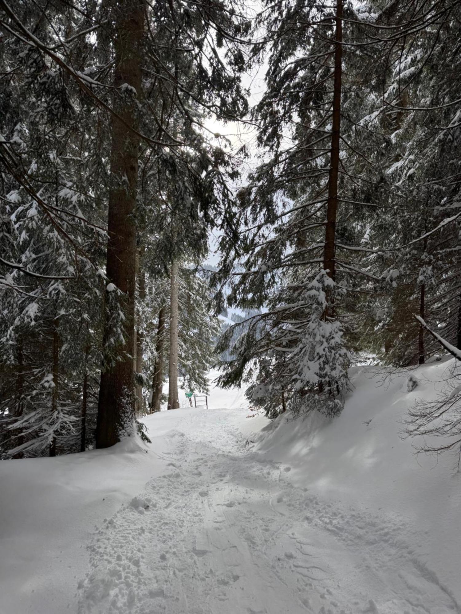 Allgaeu Bergluft Weitnau Экстерьер фото